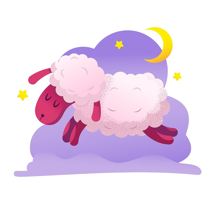 Free illustrations of Sheep